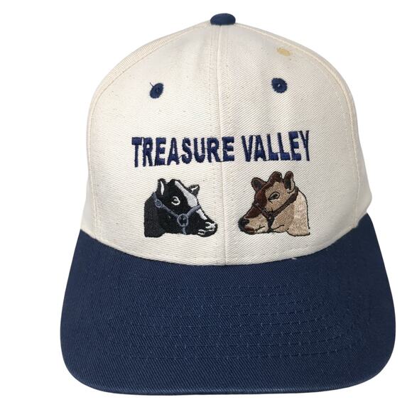 Treasure Valley Dairy Replacement Snapback Cap Multi One Size Embroidered Mohr's - Picture 1 of 10